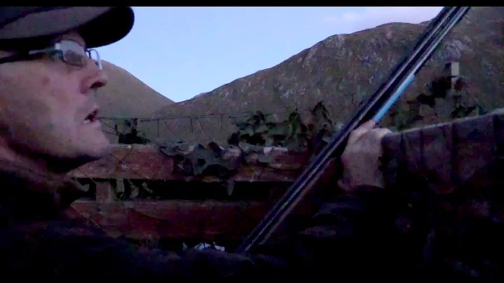 The Shooting Show - wild duck shooting in the Highlands