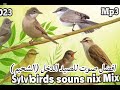 صوت طيور الدخل 
