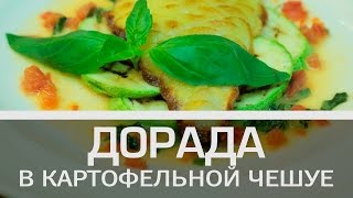 Дорада в картофельной чешуе [Мужская кулинария]