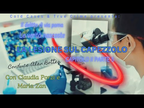 Video Il delitto di via Poma. Le verità nascoste - La lesione sul capezzolo CAP. II PARTE 5