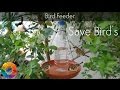 Hummingbird feeder, Bird Feeder from Water Bottle, Best Technic for Water Feeder.