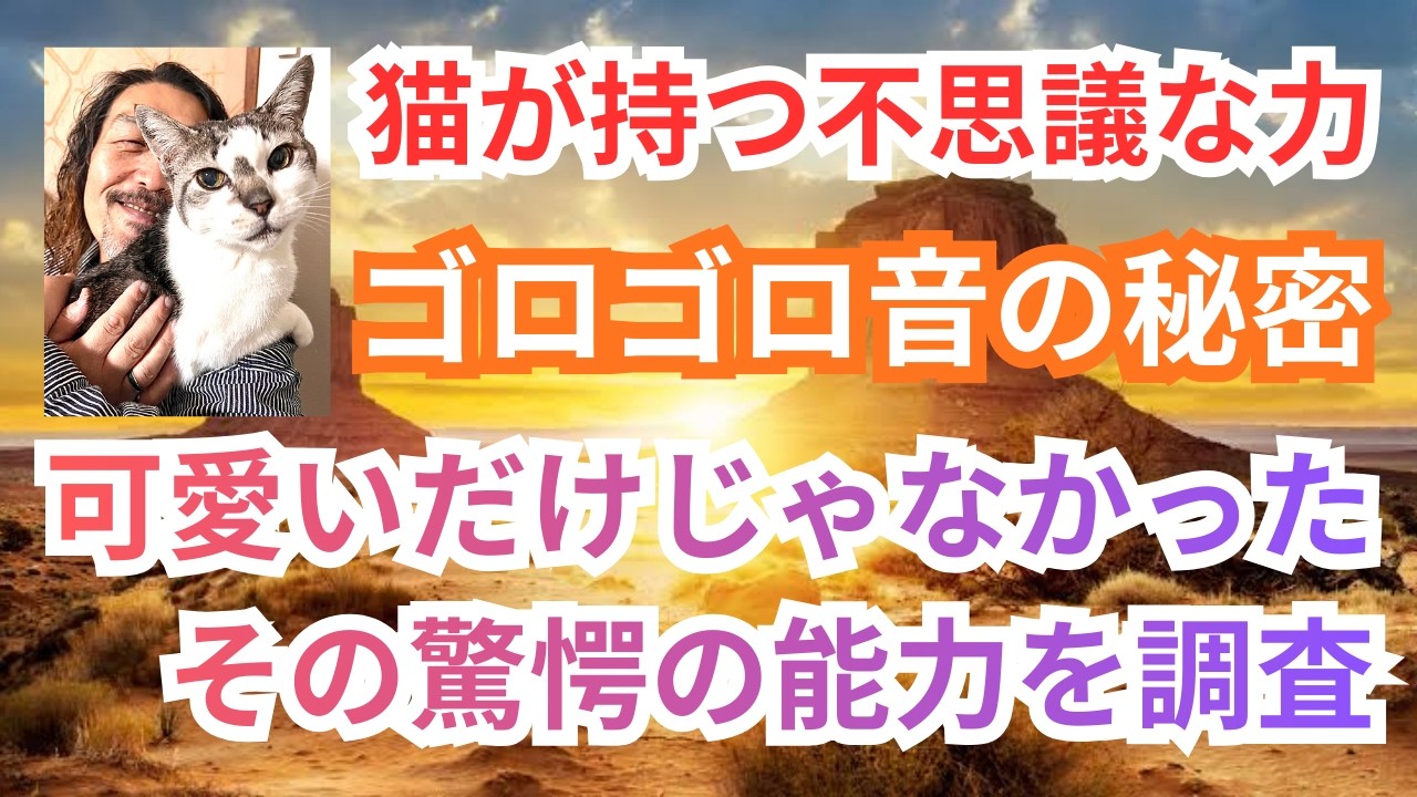 【新企画：犬猫の不思議】猫と暮らす事によって得られるモノは癒しだけではなかった。あのゴロゴロ音には”可愛い”だけで言い尽くせぬ偉大な力があるかも知れない。