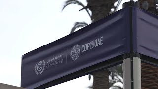 Analyst on newly released Dubai UN climate talks final proposal