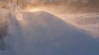 Snow - 20090203 - 02