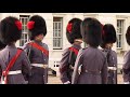 7  Company Coldstream Guards