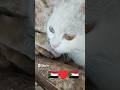 بسنت الجميلة بسنت الجميلة