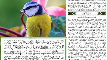 2  الحزب 60 للحفظ بالتكرار سورة الغاشية
