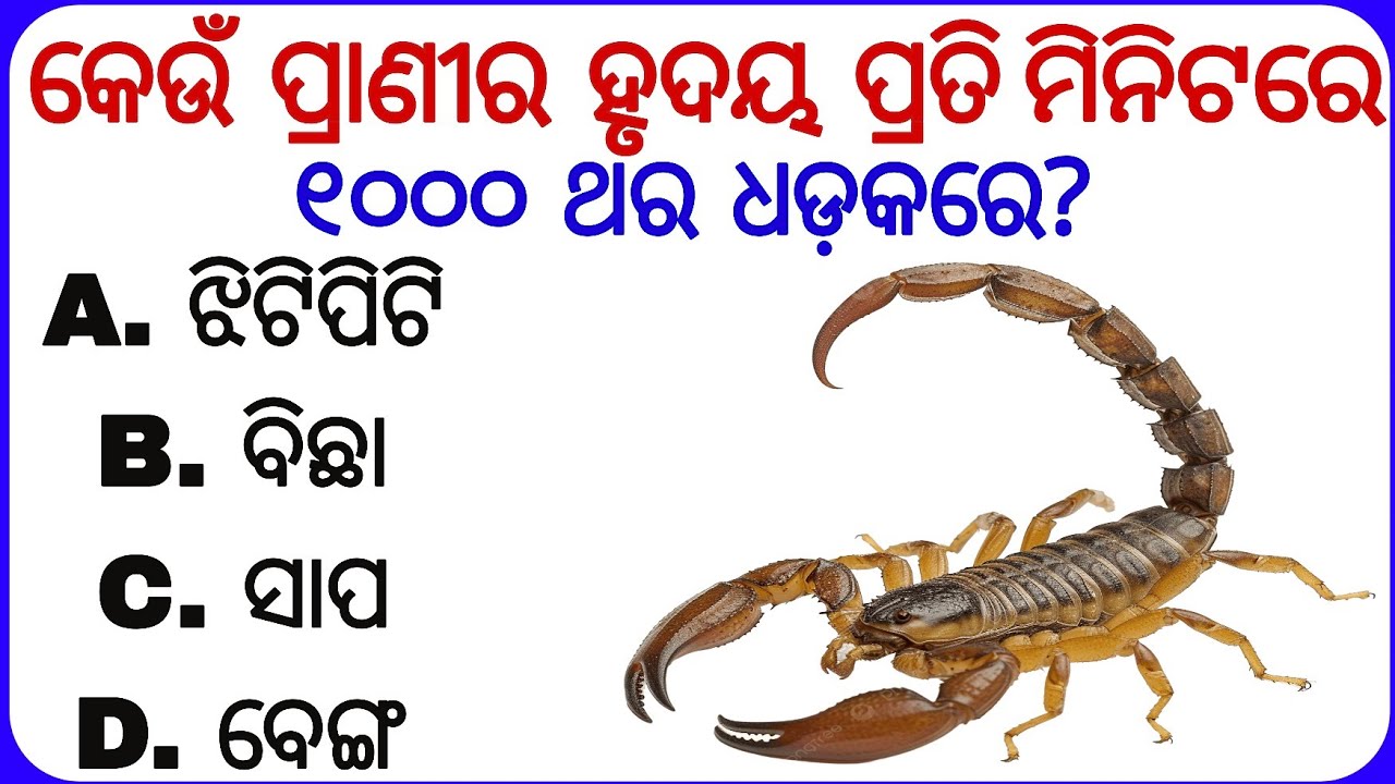 Amazing GK Quiz Test In Odia || General Knowledge Part-7