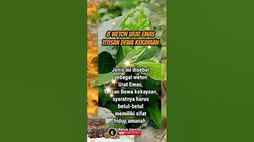8 weton urat emas | weton dikejar kekayaan #shorts
