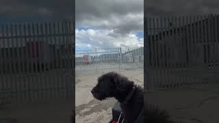 Ted Loving The Club Quad