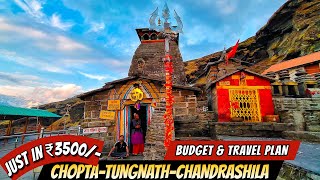Cheapest Tour Plan for CHOPTA TUNGNATH CHANDRASHILA Trip #choptatrek  #tungnathtemple #chandrashila
