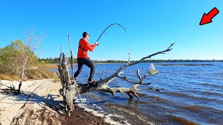 Found a Secret Beach in the Woods and Caught THIS!