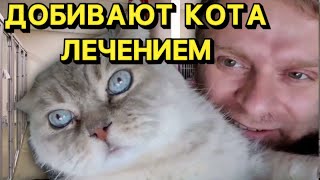 видео: Самвел Адамян КОТА УЖЕ УГРОБИЛИ😱Значит мамку отвезите к стоматологу😒 СНЕЖИНС ЗАСТУПИЛАСЬ ЗА ЗРИТЕЛЕЙ картинка: Самвел Адамян КОТА УЖЕ УГРОБИЛИ😱Значит мамку отвезите к стоматологу😒 СНЕЖИНС ЗАСТУПИЛАСЬ ЗА ЗРИТЕЛЕЙ