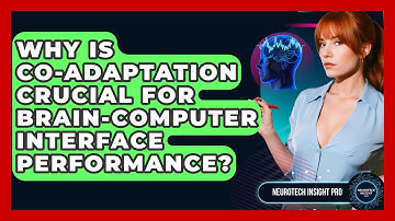 Why Is Co-adaptation Crucial For Brain-Computer Interface Performance? - Neurotech Insight Pro