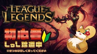 【コラボ配信】LoL初心者珍道中！ 本日のゲスト：すうぇ鯖組【白飯しゃもじ視点】