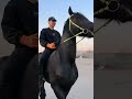 #animal #horse #horsetrack horseblack #black