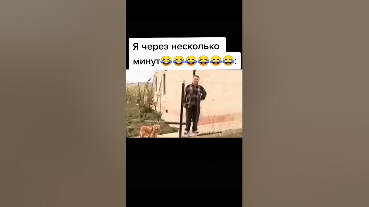 григорий считает себя собакой - Видео ВКонтакте