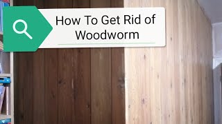 How To Get Rid Of Woodworm