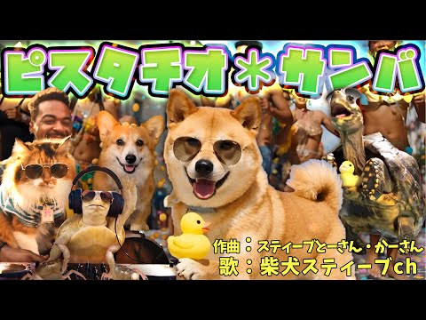 【MV】ピスタチオ＊サンバ【オリジナル曲】