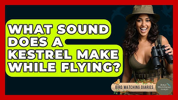 What Sound Does A Kestrel Make While Flying? - Bird Watching Diaries