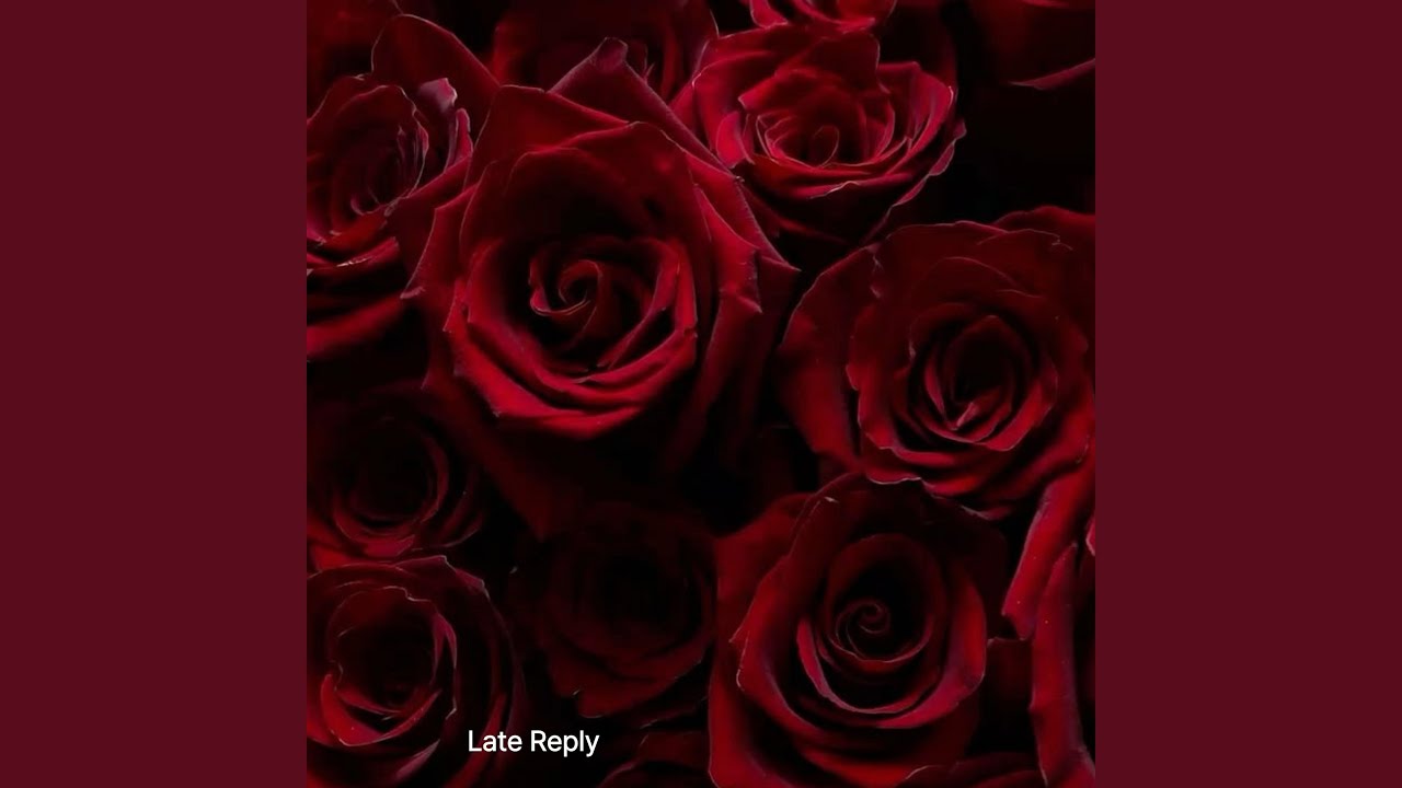 Late Reply adlı videoyu YouTube'da izle Late Reply adlı videoyu YouTube'da izle