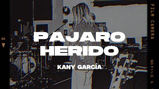 Kany García - Pájaro Herido (Letra/Lyrics)