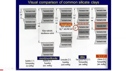 Charge development on soil colloids