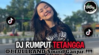 DJ RUMPUT TETANGGA - DJ FULLBAND SOUND GANJUR ORGEN TUNGGAL