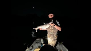 Nighttime Catfishing Lake Wylie NC by PRINCE FAMILY OUTDOOR ADVENTURES 69 views 2 months ago 3 minutes, 44 seconds