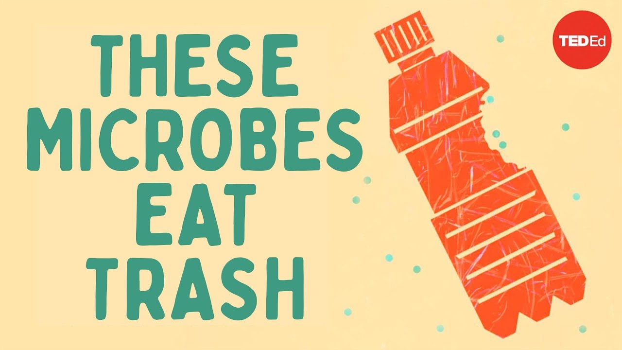 Meet the microbes that could eat your trash - Tierney Thys and Christian Sardet