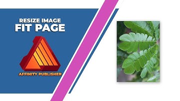 How to resize an image to fit a page in affinity publisher