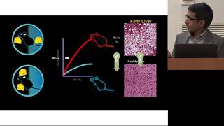 Circadian Rhythm in Health and Disease ( Satchin Panda)