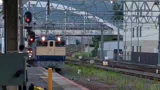 【特殊試運轉】EF65-1132+スハフ12 9+D51-200 京都站7番線通過