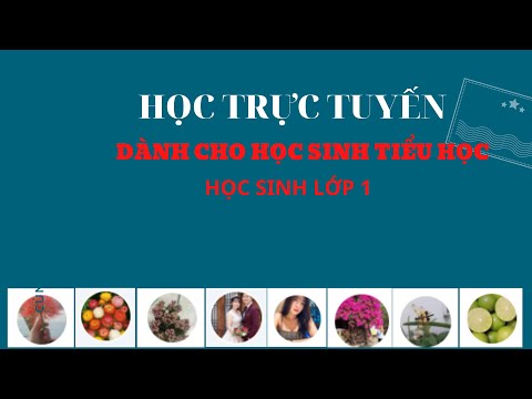 Hướng dẫn học tập môn Toán khối Một