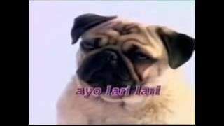 Lagu anak-Heli guk-guk-guk