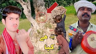 daily village life routine | Desi Mahol | Punjab Pakistan