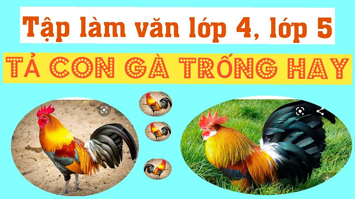 Tả con gà trống lớp 4 văn hay