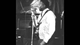 Muddy Waters- They Call Me Muddy Waters (Live)