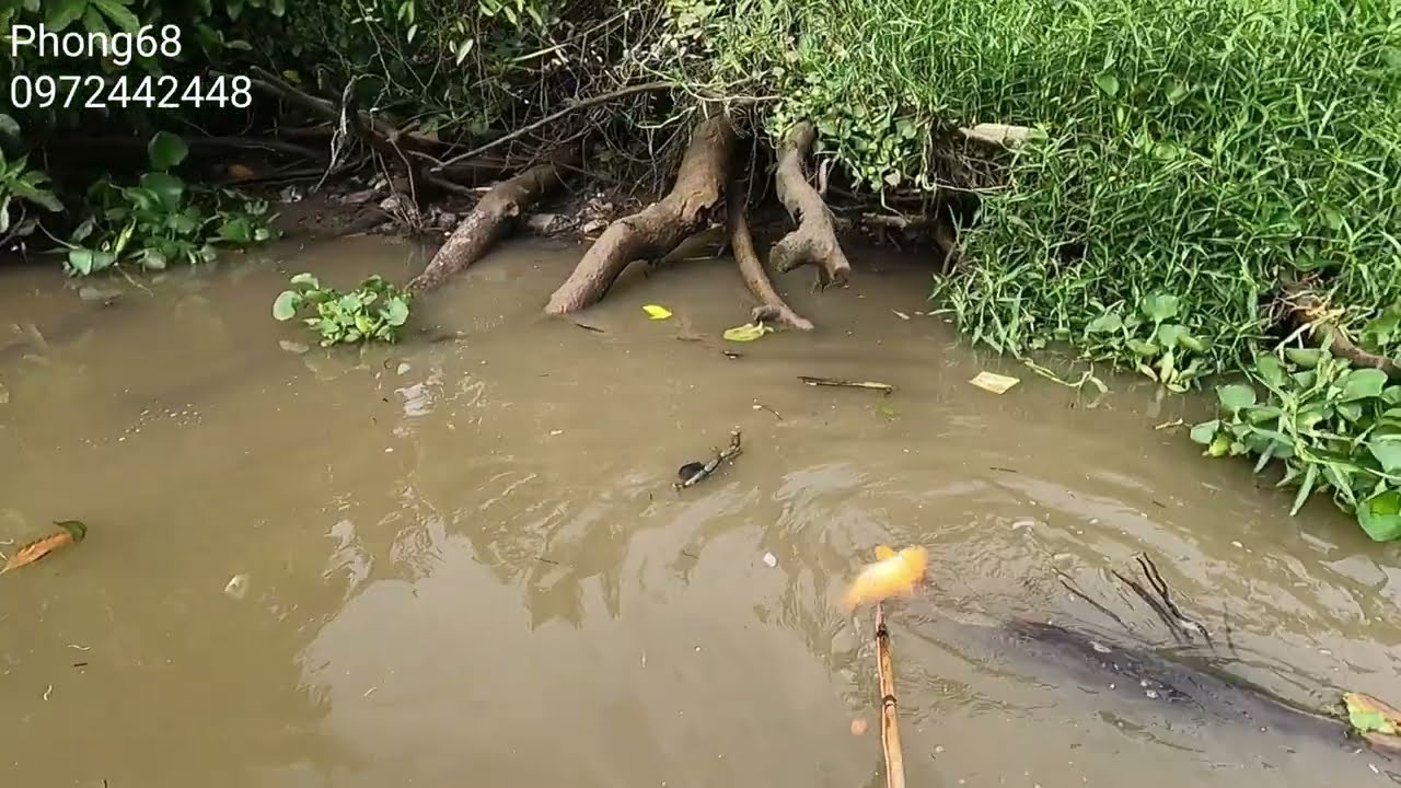 Thử máy 40f một vợt thả cáp cho Quý ở long an // Phong68