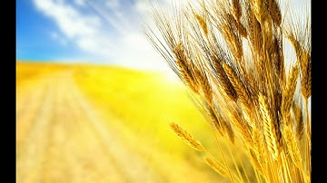 042 Surat Al Shura Abdullah Al Matrood عبد الله مطرود سورة الشورى