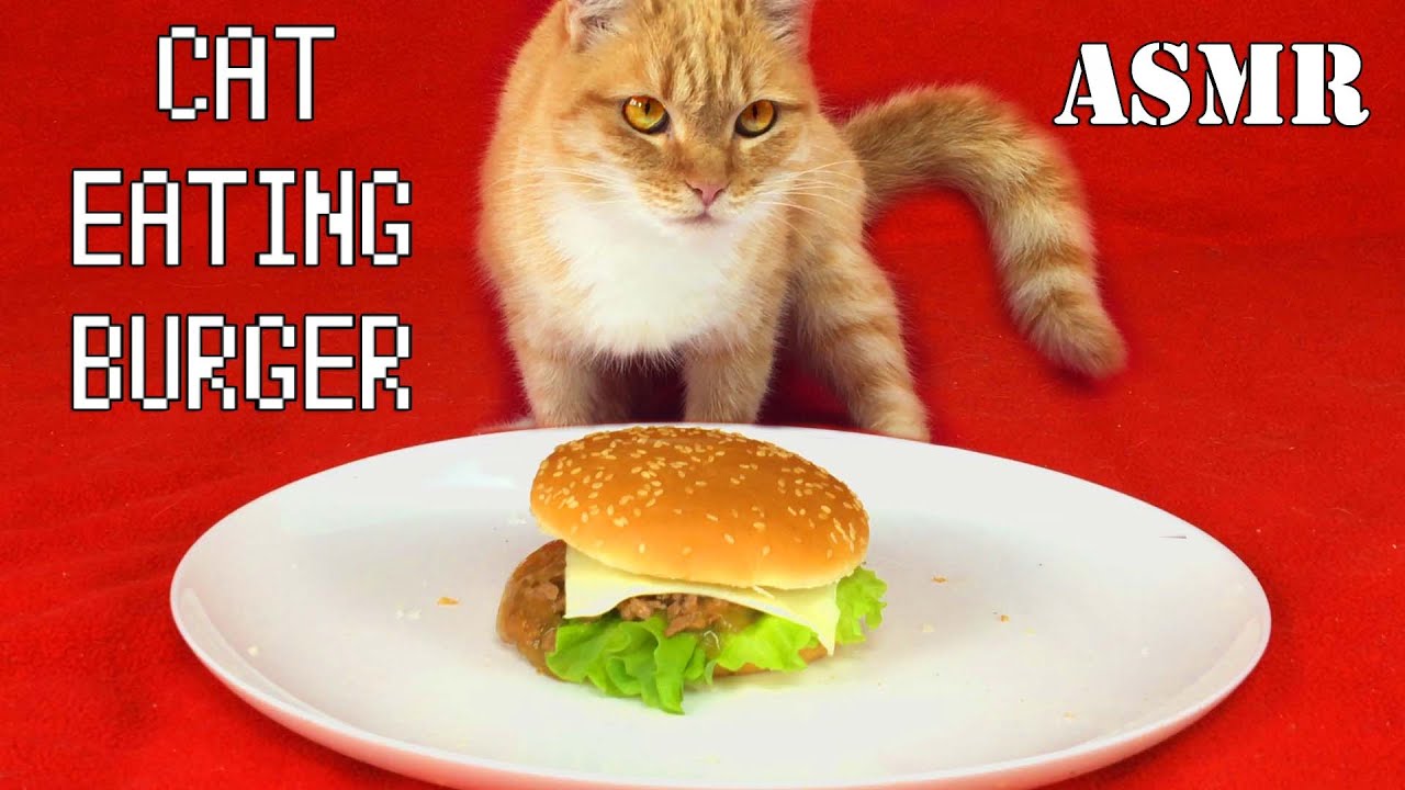 Aliska eating cheese burger asmr