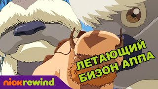 Аватар: Легенда об Аанге | Летающий бизон Аппа | Nick Rewind Россия