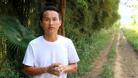 qaib thawj zag qe puas zoo