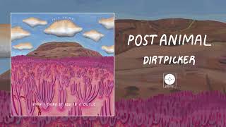 Miniatura del video "Post Animal - Dirtpicker [OFFICIAL AUDIO]"