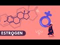 ESTROGEN GORMONI