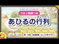 あひるの行列　byひまわり🌻歌詞付き【かわいい童謡】