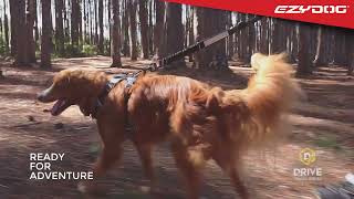 【澳洲 EzyDog】車用轉換牽繩 The NEW Travel Click Leash by EzyDog Taiwan 529 views 1 year ago 33 seconds