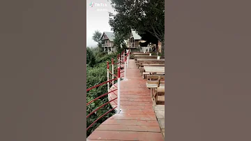 موسيقى مسلسل زهره القصر 