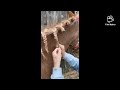 Learning to plait a pony with needle and thread