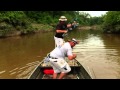 Bowfishing Alligator Gar Pure Shot Outdoors